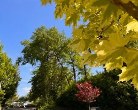 Camping Domaine Du Blanc Pignon 2*