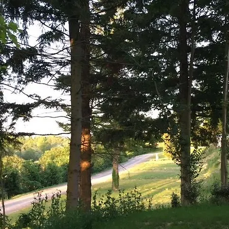 Camping Domaine Du Blanc Pignon 2*