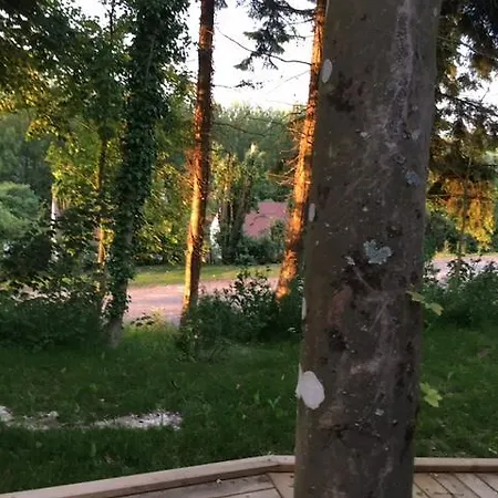 Domaine Du Blanc Pignon 2*