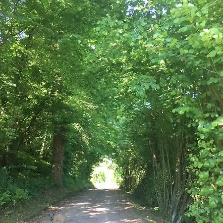 Domaine Du Blanc Pignon 2* La Calotterie