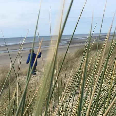 Camping Domaine Du Blanc Pignon 2*