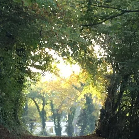 Domaine Du Blanc Pignon 2*