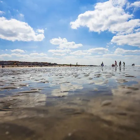 Camping Domaine Du Blanc Pignon 2*