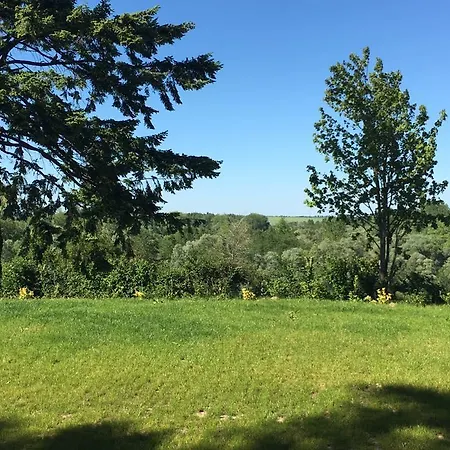 Domaine Du Blanc Pignon