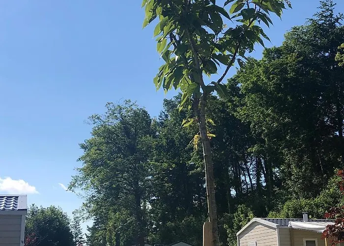 Camping Domaine Du Blanc Pignon La Calotterie