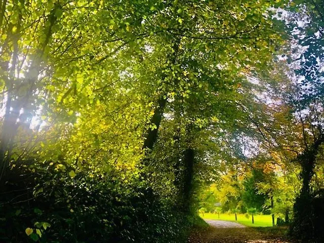 Camping Domaine Du Blanc Pignon