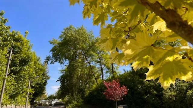 Camping Domaine Du Blanc Pignon 2*