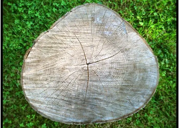 Camping Domaine Du Blanc Pignon 2*