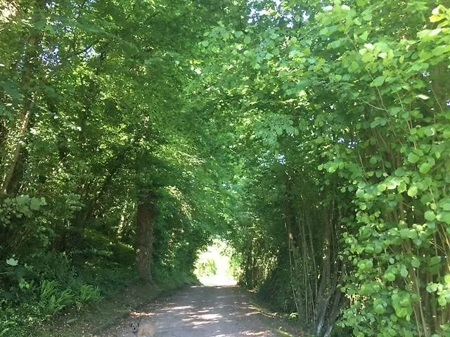 Domaine Du Blanc Pignon 2* La Calotterie