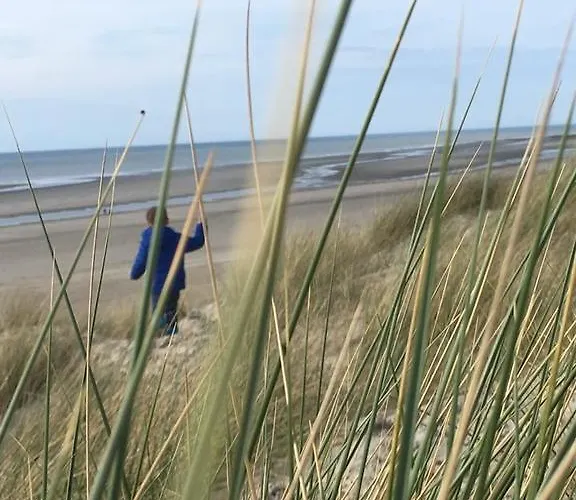 Camping Domaine Du Blanc Pignon 2*