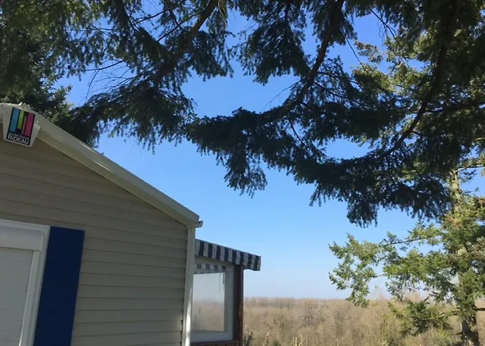 Domaine Du Blanc Pignon Camping