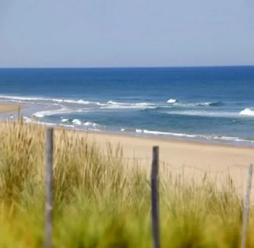 Domaine Du Blanc Pignon 2* La Calotterie